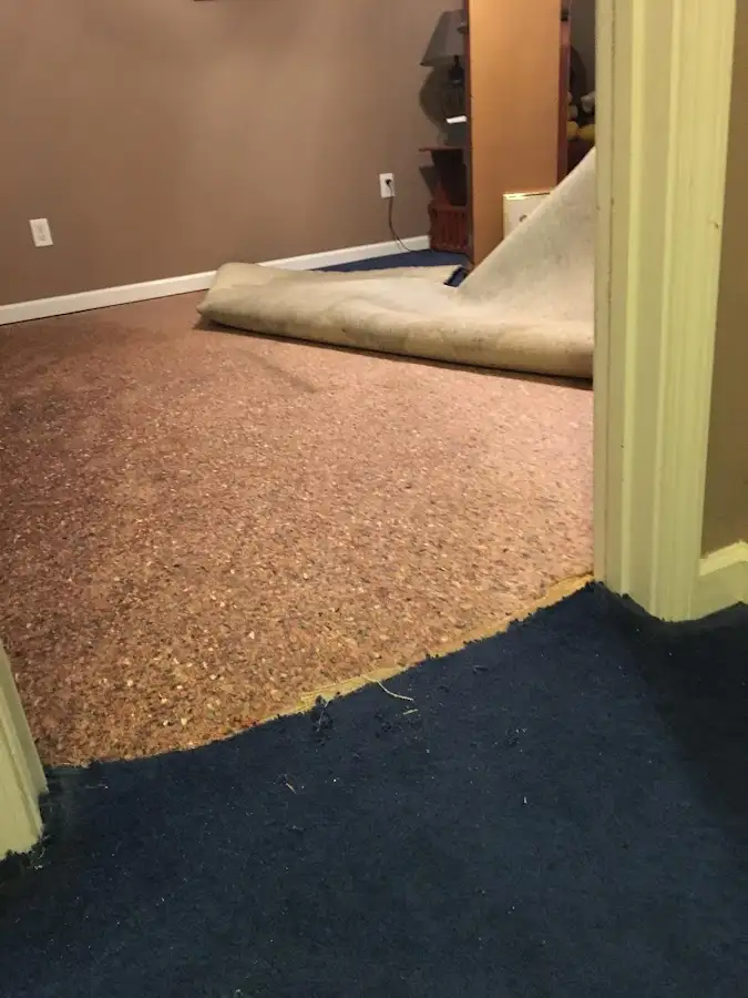 Carpet pad removal revealing water damage during Water Mitigation Services in McKenzie