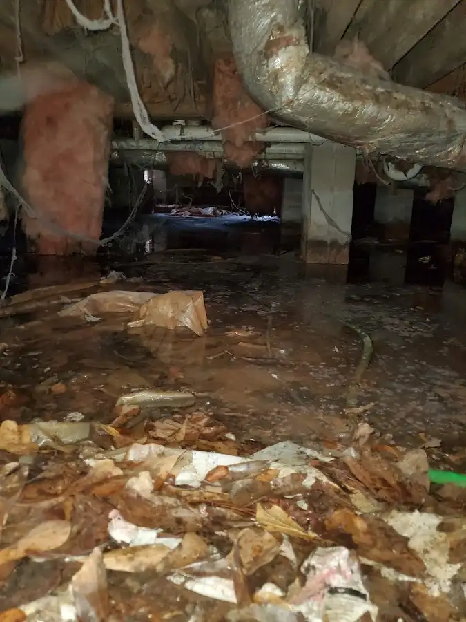 Crawl space flood assessment for Leak Detection & Repair in McKenzie