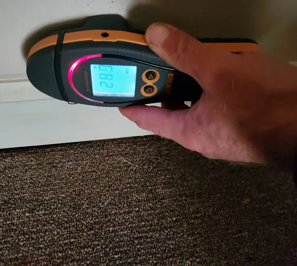 Moisture detection at baseboard during Sewage Cleanup & Sanitation in McKenzie